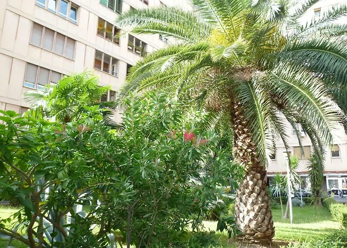 Oda ve Kahvaltı Didavi' 4*